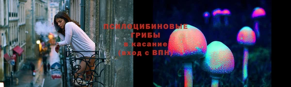 ешки Алексин
