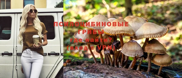 ПСИЛОЦИБИНОВЫЕ ГРИБЫ Алексеевка