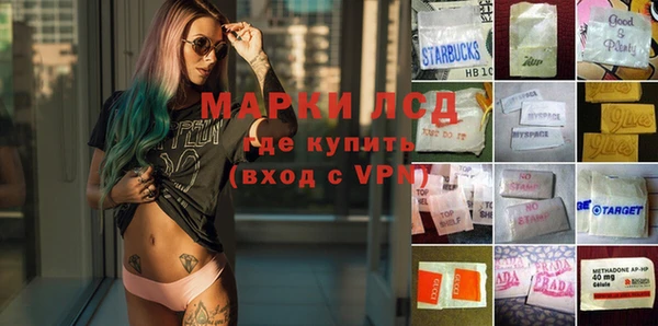 ПСИЛОЦИБИНОВЫЕ ГРИБЫ Алексеевка