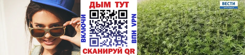Конопля сатива  Кола 